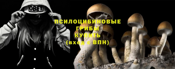 mix Бутурлиновка
