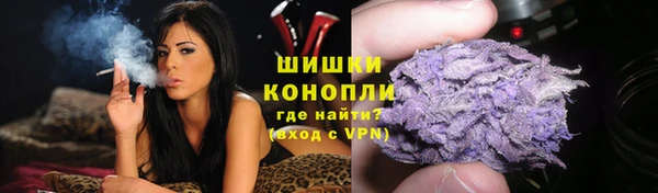 соль ск Богданович