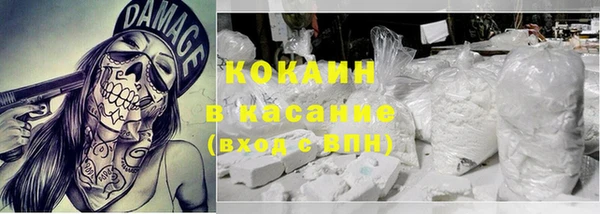 соль ск Богданович
