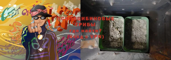соль ск Богданович