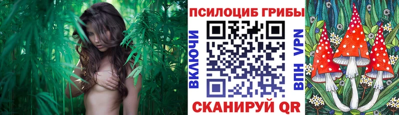 кракен зеркало Горнозаводск Псилоцибиновые грибы Psilocybe где продают наркотики